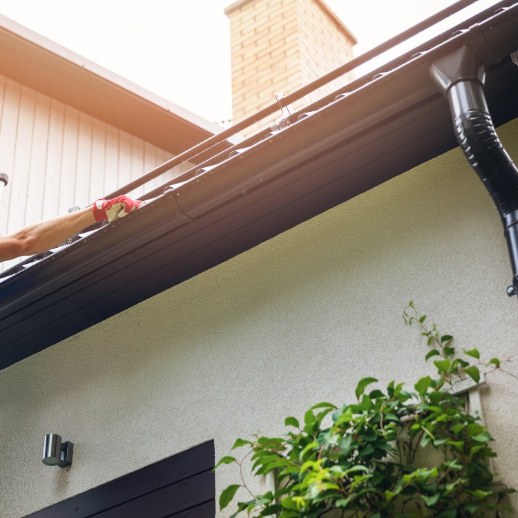 Pressure Washing in Marion County, FL